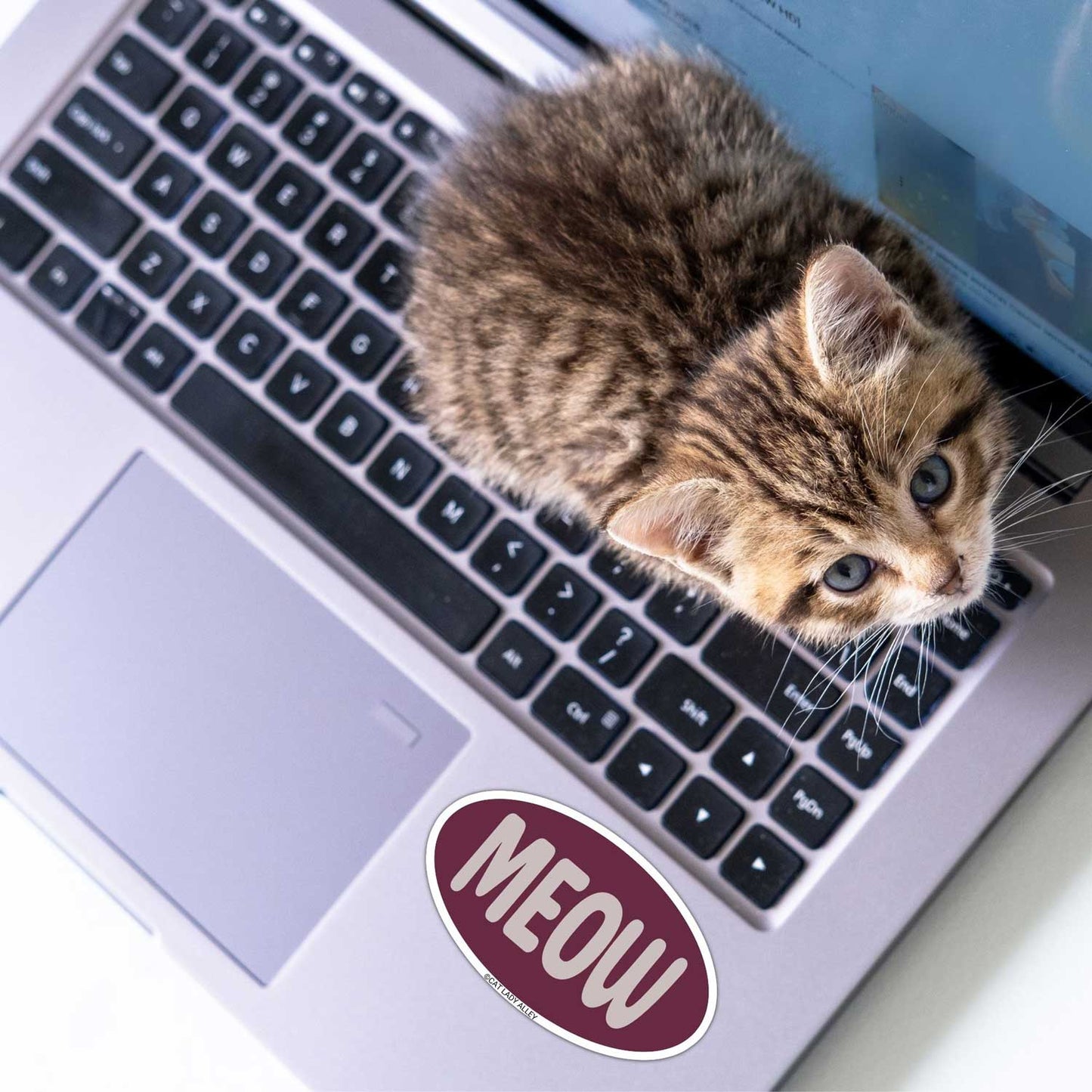 oval meow cat sticker on laptop