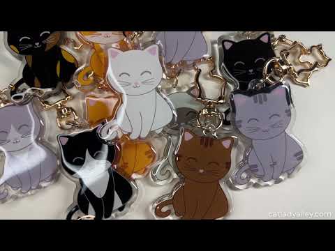 colorful cat keychains