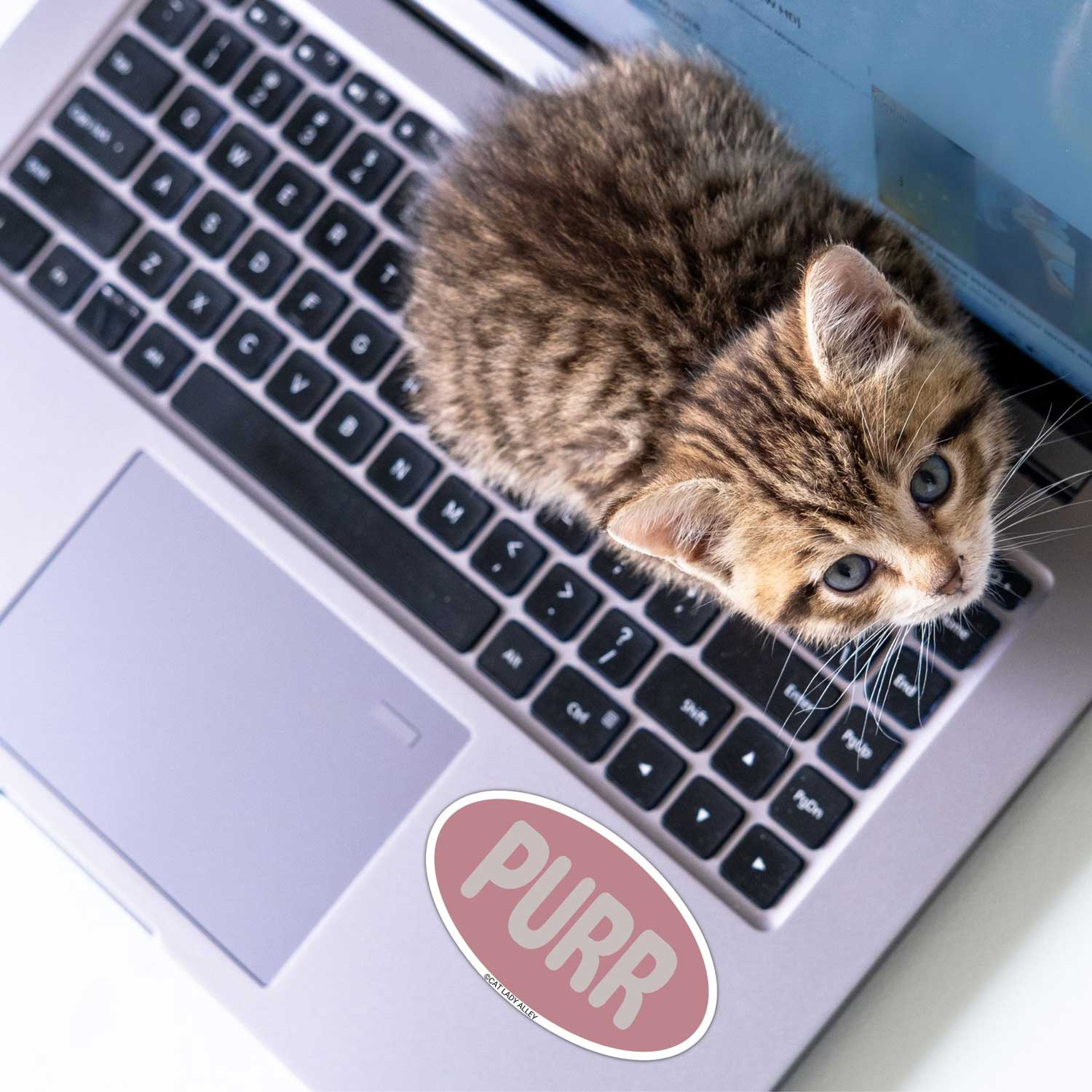 oval pink purr cat sticker on laptop
