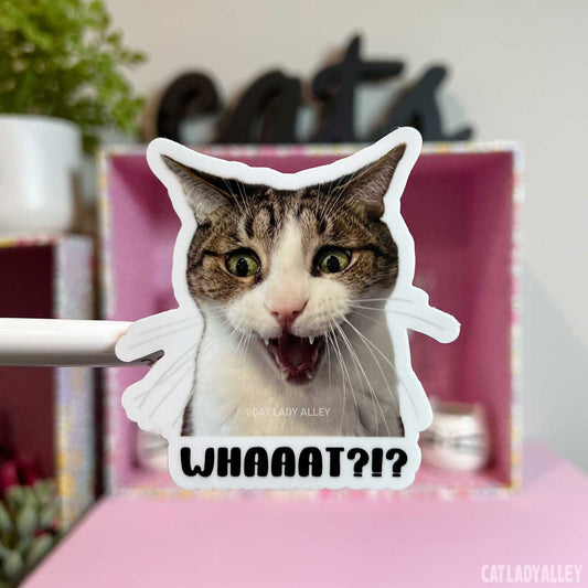cat photo sticker says whaaat
